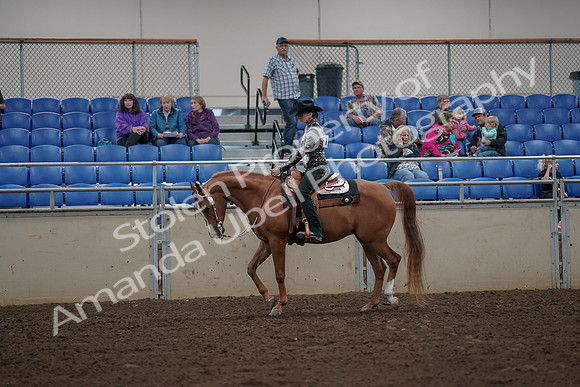 2019 Morgan Horse Show - Aug 30, 2019 - 26009