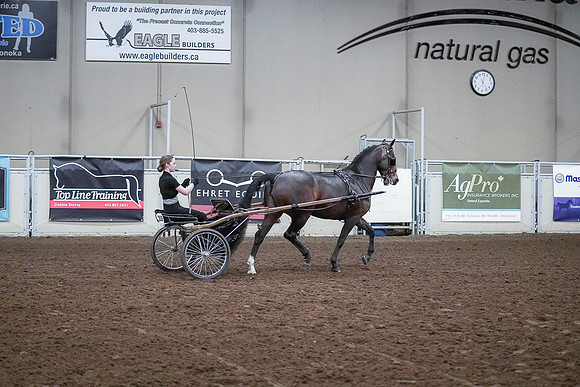 Spring Fling - Saturday - April 20, 2019  -  00333
