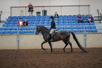 2019 Morgan Horse Show - Aug 30, 2019 - 27203