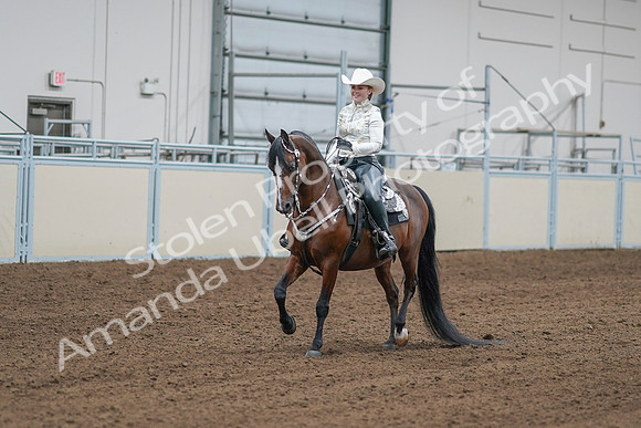 2020 - AB Morgan Horse - Sat, Sept 05 - 09012