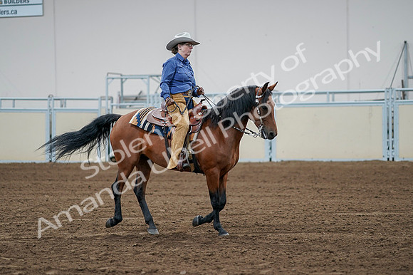 2020 - AB Morgan Horse - Fri, Sept 04 - 00246