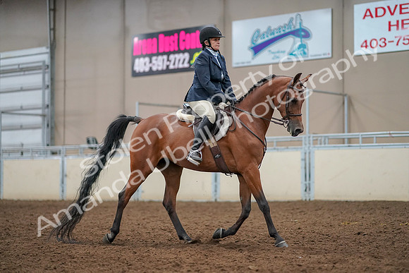 2019 Morgan Horse Show - Aug 30, 2019 - 22590
