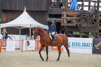 295 - Walk Trot Hunter Country Eng