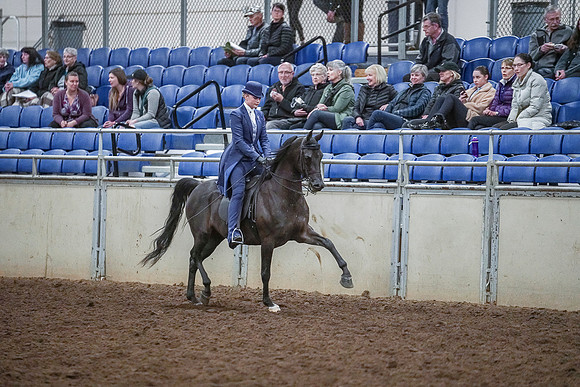 Spring Fling - Saturday - April 20, 2019  -  03927