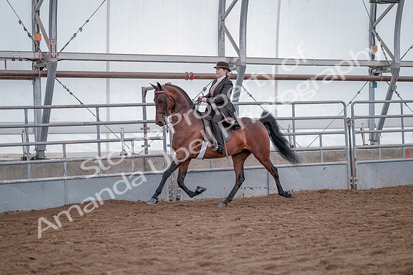 July 20, 2019 - 13786