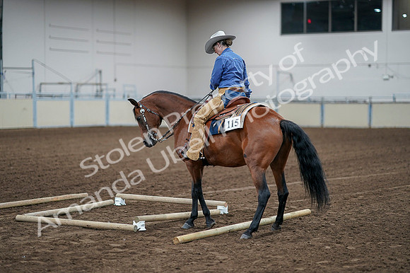 2020 - AB Morgan Horse - Fri, Sept 04 - 00277
