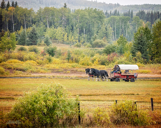 Foothills Ride for Stars - Sept 22, 2018 - 00770