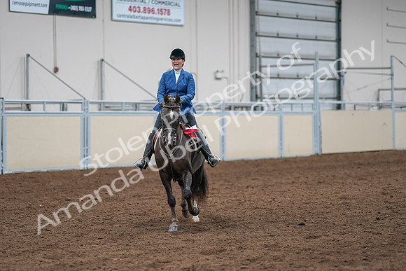2020 - AB Morgan Horse - Sat, Sept 05 - 05249