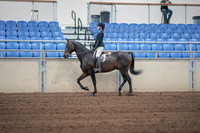2019 Morgan Horse Show - Sept 01, 2019 - 03662