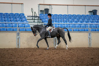 2019 Morgan Horse Show - Aug 30, 2019 - 23104
