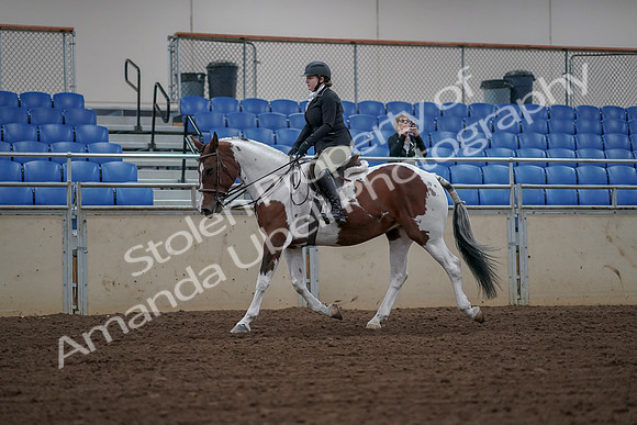 2019 Morgan Horse Show - Aug 30, 2019 - 14866