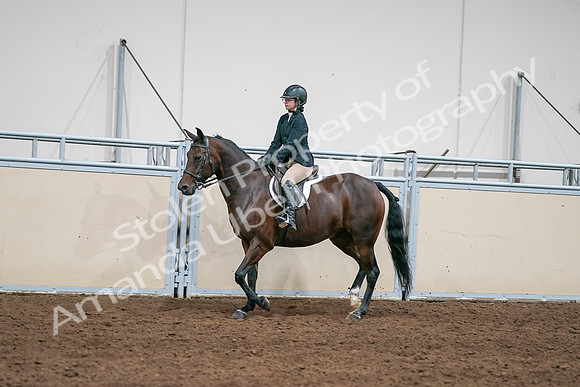 2020 - AB Morgan Horse - Sat, Sept 05 - 09072