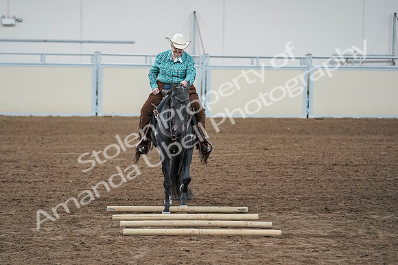 2020 - AB Morgan Horse - Fri, Sept 04 - 00639