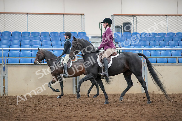 2019 Morgan Horse Show - Aug 30, 2019 - 23342