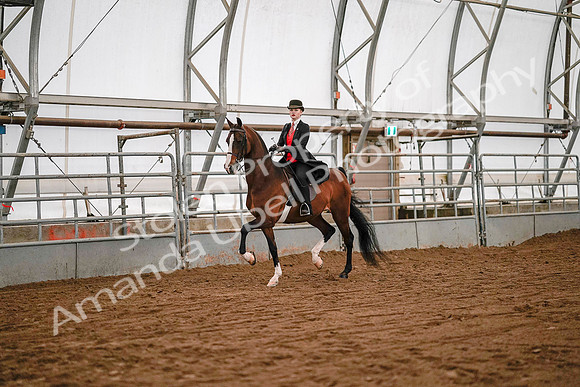 July 19, 2019 - 8694