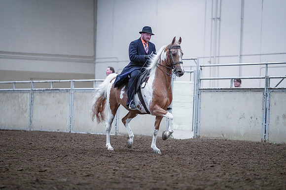 Spring Fling - Saturday - April 20, 2019  -  00808