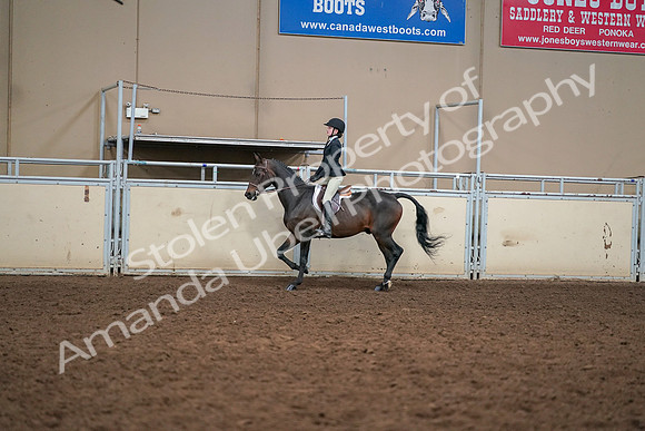 2019 Morgan Horse Show - Aug 30, 2019 - 12208