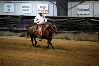 Rein - Fence/Box - Non Pro Bridle