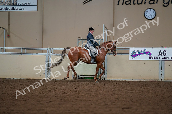 2019 Morgan Horse Show - Aug 30, 2019 - 22477