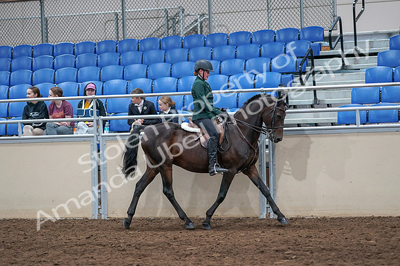 2020 - AB Morgan Horse - Sat, Sept 05 - 05160