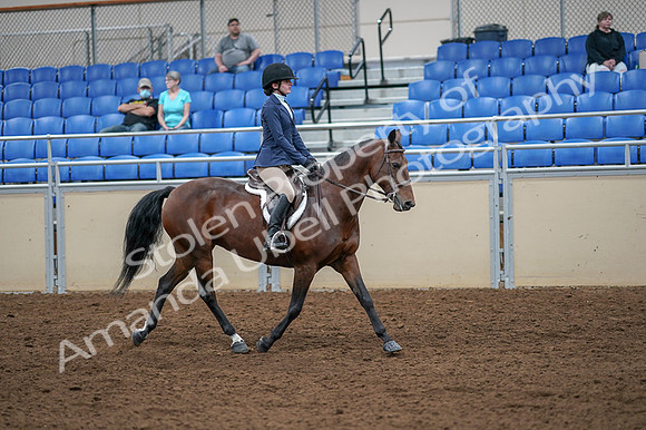 2020 - AB Morgan Horse - Fri, Sept 04 - 06081