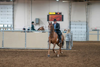 2020 - AB Morgan Horse - Sat, Sept 05 - 09362