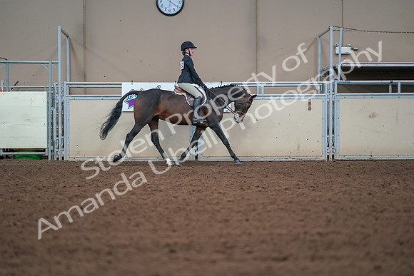 2019 Morgan Horse Show - Aug 30, 2019 - 20692