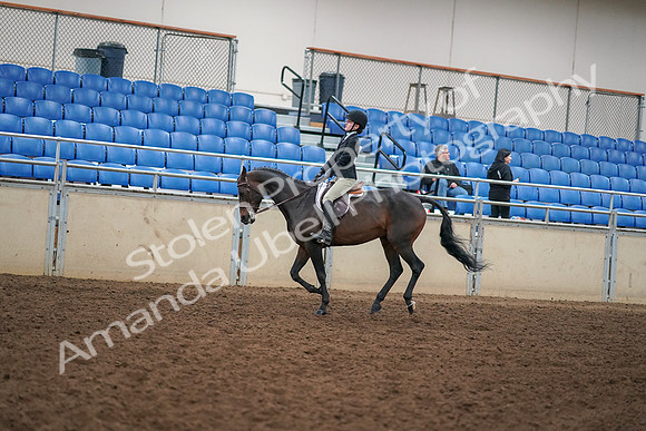 2019 Morgan Horse Show - Aug 30, 2019 - 12298