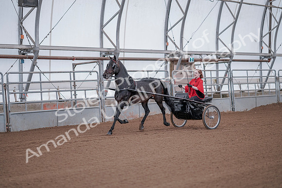 July 20, 2019 - 08784
