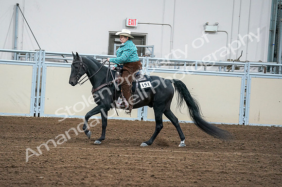 2020 - AB Morgan Horse - Fri, Sept 04 - 00474