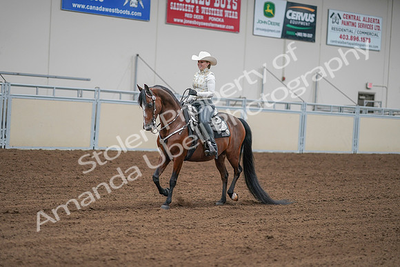 2020 - AB Morgan Horse - Sat, Sept 05 - 09023