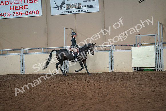 2019 Morgan Horse Show - Aug 30, 2019 - 12352