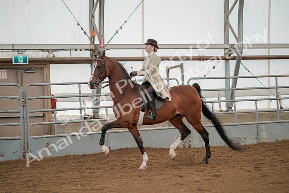 July 20, 2019 - 02064