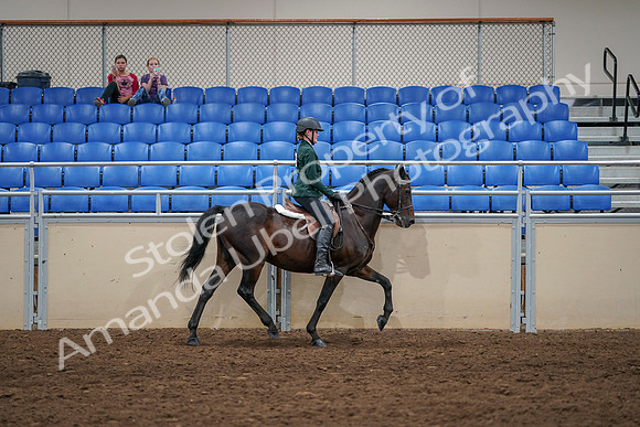 2020 - AB Morgan Horse - Sat, Sept 05 - 05059