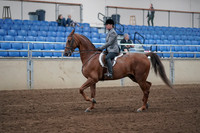 2019 Morgan Horse Show - Sept 01, 2019 - 12157