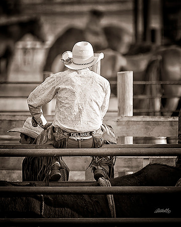 rodeo - 046