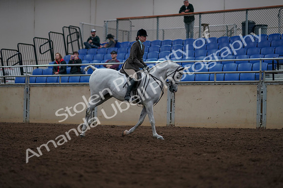 2019 Morgan Horse Show - Sept 01, 2019 - 08819
