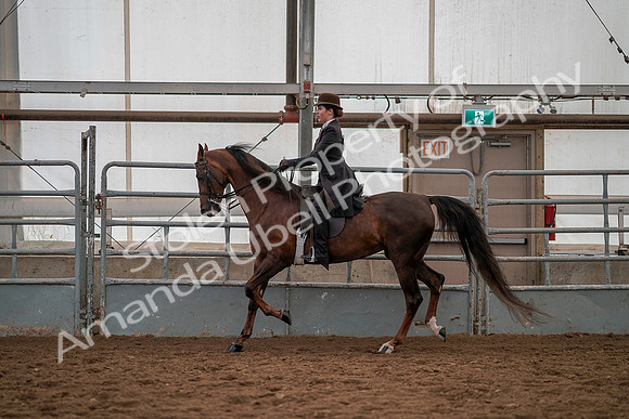July 19, 2019 - 13031
