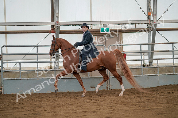 July 20, 2019 - 02101