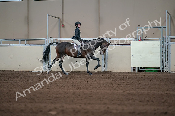 2019 Morgan Horse Show - Sept 01, 2019 - 03907