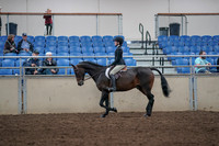 2019 Morgan Horse Show - Aug 31, 2019 - 08045