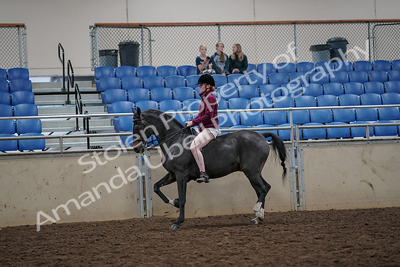 2019 Morgan Horse Show - Aug 30, 2019 - 31147