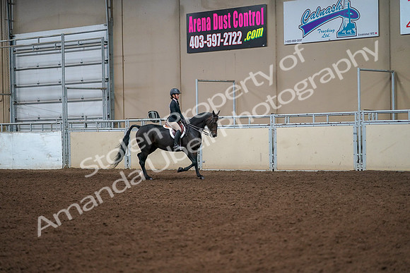 2019 Morgan Horse Show - Aug 30, 2019 - 12335