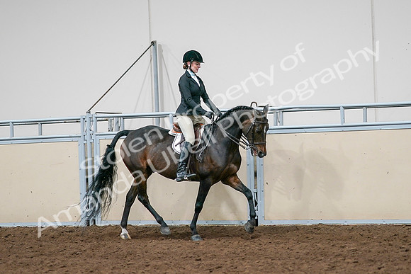 2020 - AB Morgan Horse - Sat, Sept 05 - 14565
