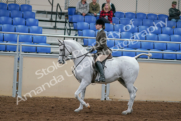 2020 - AB Morgan Horse - Sat, Sept 05 - 14450