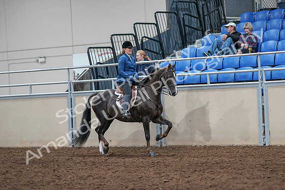 2020 - AB Morgan Horse - Sat, Sept 05 - 05080