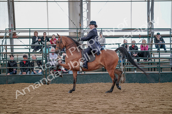 July 20, 2019 - 13848