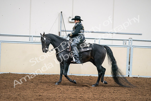 2020 - AB Morgan Horse - Sat, Sept 05 - 08911