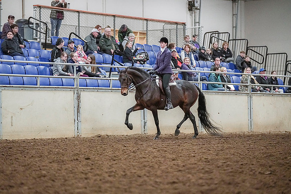 Spring Fling - Saturday - April 20, 2019  -  03748