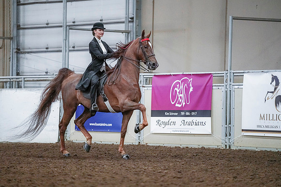 Spring Fling - Saturday - April 20, 2019  -  00524